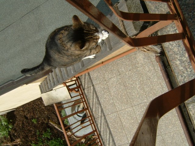 dscf0008.jpg