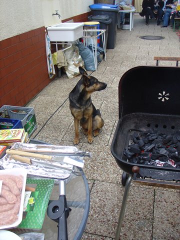 nochnixaufdemgrill.jpg